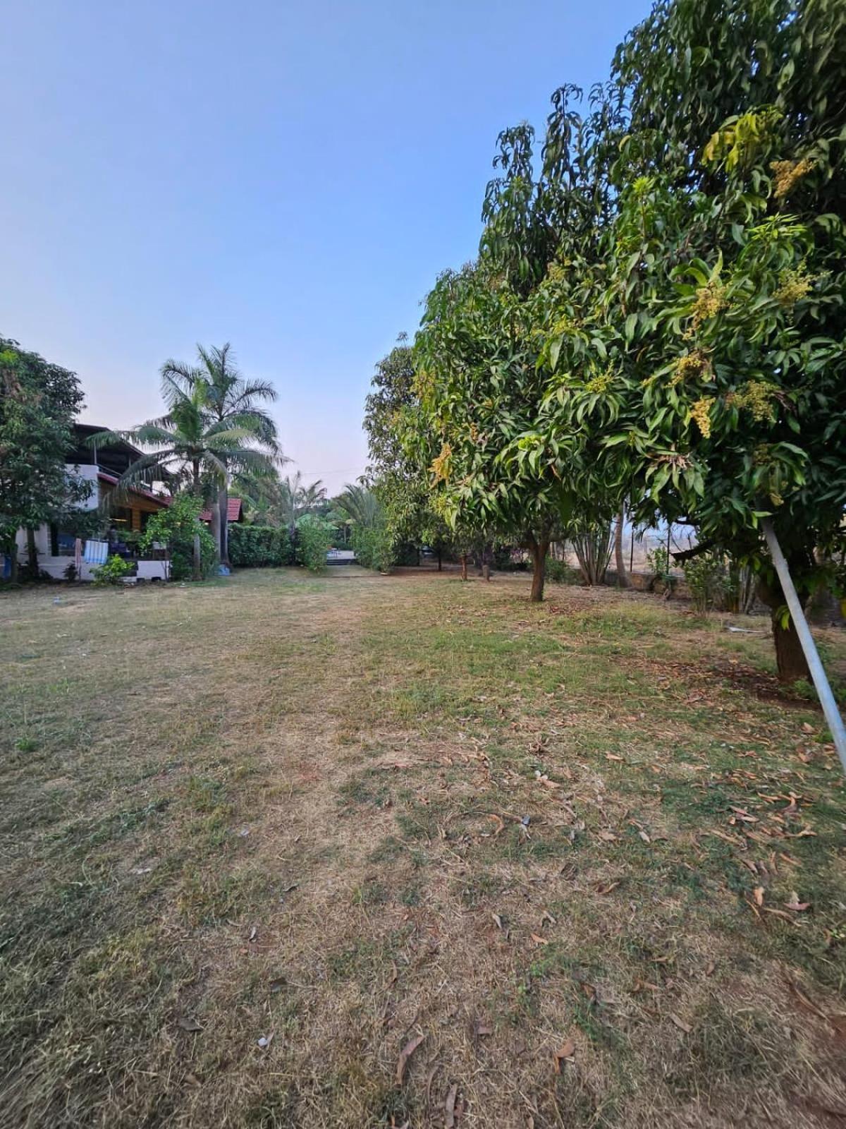Patil'S Greenwoods Farmhouse Navi Mumbai Buitenkant foto